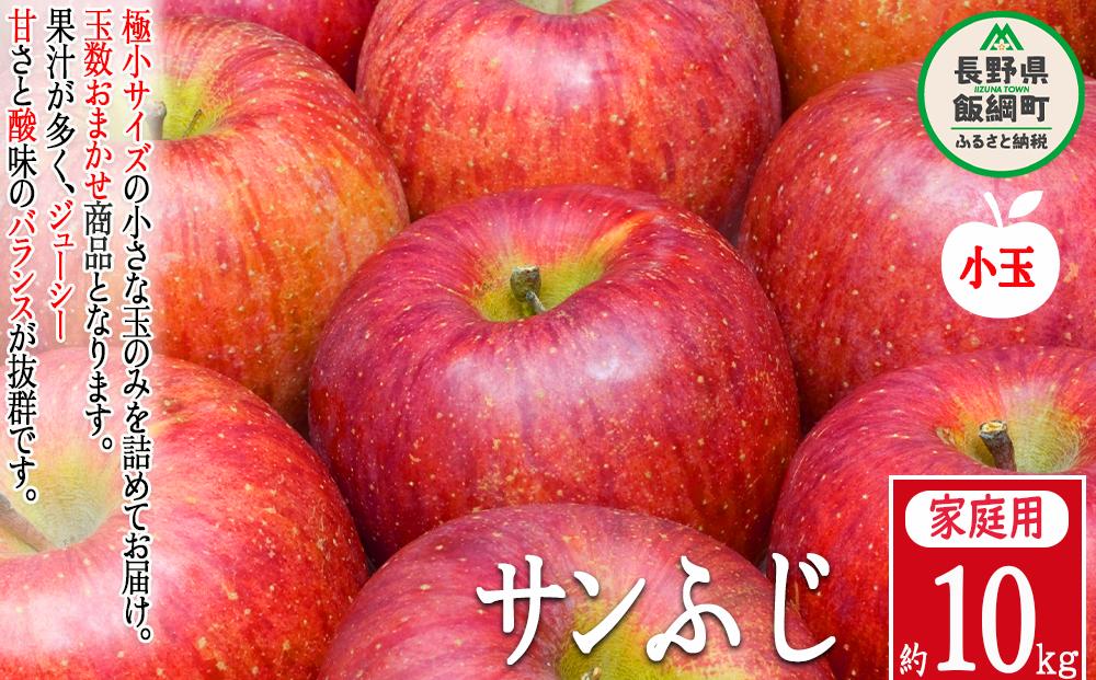 
りんご 農家応援企画 サンふじ 家庭用 10kg （ 小玉 ） ※沖縄および離島への配送不可 長野県 飯綱町 [0957]
