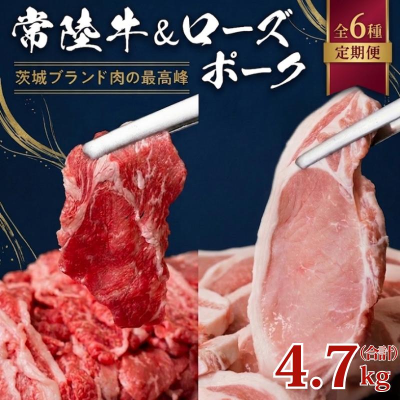 【ふるさと納税】【 茨城ブランド肉の最高峰 】ローズポーク ＆ 常陸牛 贅沢 定期便 ( 全6種 ) ブランド豚 銘柄豚 豚肉 お肉 にく ロース 生姜焼き しゃぶしゃぶ 焼肉 バーベキュー とんかつ ポークソテー 牛肉 和牛 ギフト 贈答 贈り物 国産 茨城県産 茨城県共通返礼品