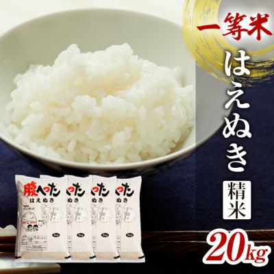 ふるさと納税 酒田市 はえぬき 精米5kg×4袋20kg