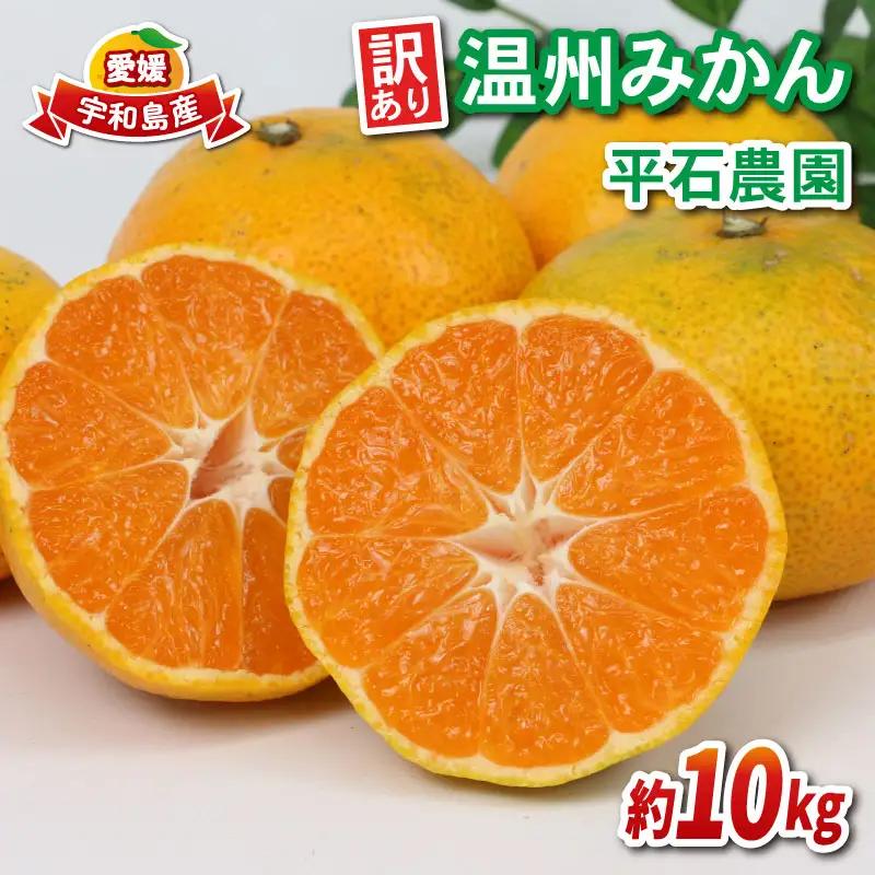 みかん 訳あり 温州みかん 10kg 平石農園 先行予約 温州 みかん 甘い 甘味 酸味 果物 くだもの フルーツ 柑橘 mikan 蜜柑 愛媛蜜柑 愛媛みかん わけあり サイズ 不揃い 産地直送 数量限定 国産 愛媛 宇和島 B010-017009