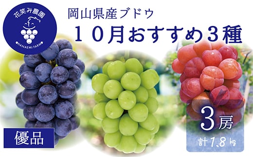 岡山　花笑み農園の『10月おすすめ3種』優品　1.8kg (3房) 3M-2L優【1695418】