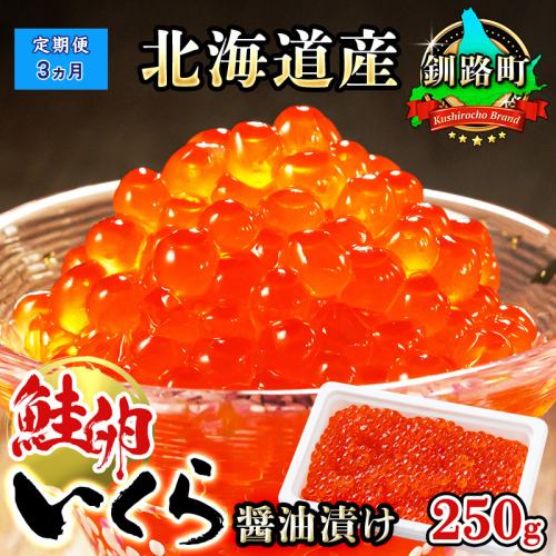 【定期便 3ヶ月連続】いくら醤油漬け 250g ×1箱  小分け　| 国産 北海道産 いくら いくら醤油漬 イクラ ikura 天然 鮭 サーモン  鮭卵 鮭いくら 北海道 昆布のまち 釧路町 笹谷商店 直営 釧之助本店 人気の 訳あり！ 父親の日 ご飯 米 無洗米 にも最適 釧路町 釧路超 特産品