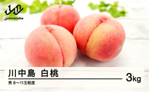 
            ≪先行予約≫ 贈答用 2025年 山形県産 川中島白桃 秀 3kg（8～11玉） 2025年8月下旬から順次発送 もも 夏果実 果物 フルーツ F21A-419
          