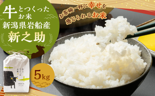 【令和7年産米】牛とつくったお米 新潟県村上市岩船産 新之助 精米 5kg 1041002