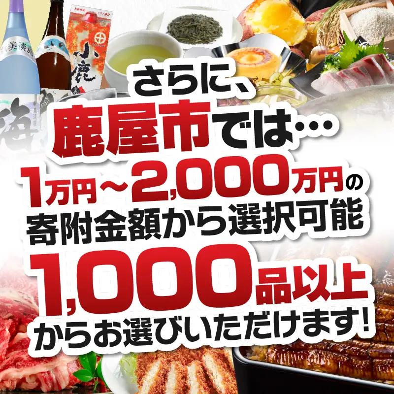あとからセレクト【ふるさとギフト】4万円 KN000-AS0004 選べる