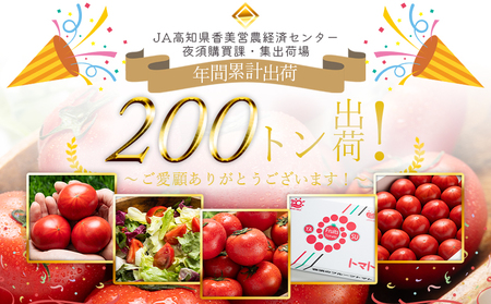 夜須のフルーツトマト 2kg 定期便 3回 トマト Wyu-0027