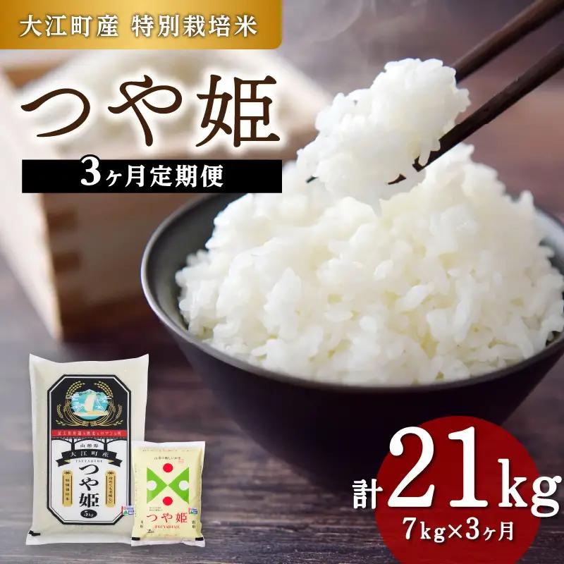【新米】《定期便3ヶ月》大江町産 つや姫 7kg×3回 合計21kg 【特別栽培米】【2025年度産米】001-T35