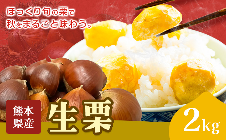 栗 生栗 2kg とくちゃん農園《9月中旬から10月下旬出荷予定》熊本県 菊池市 栗 くり 熊本県産 秋の味覚 果物 くだもの フルーツ デザート ご飯