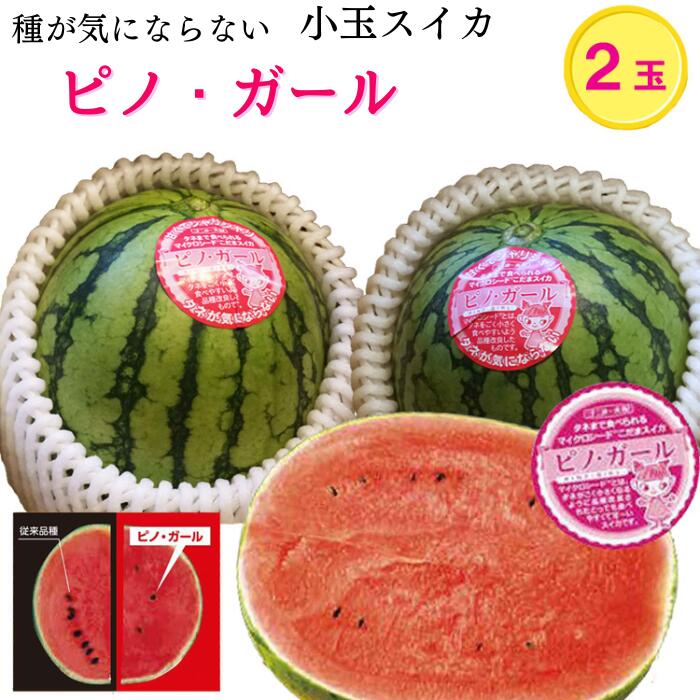 【ふるさと納税】ピノガール（種が気にならない小玉すいか） | すいか 種少ない 果物 フルーツ 先行予約 お取り寄せ
