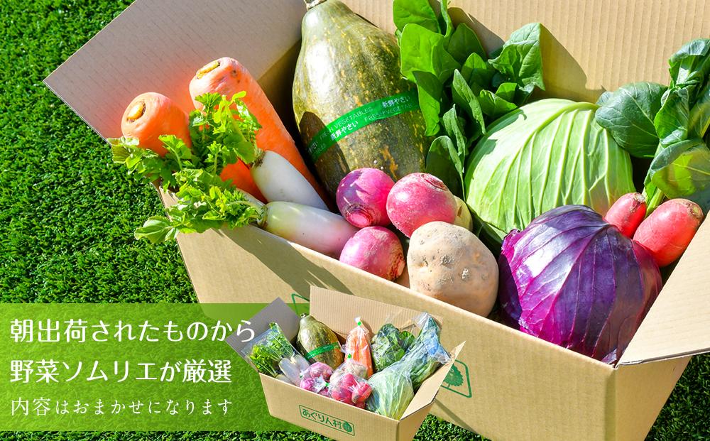 ※次回公開時に「常温」に変更要※あぐりん村の新鮮野菜宅配BOX　クール便配送期間