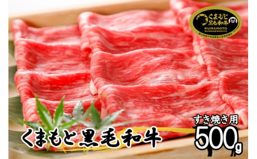 【令和6年12月出荷分】くまもと黒毛和牛500g（すき焼き用）