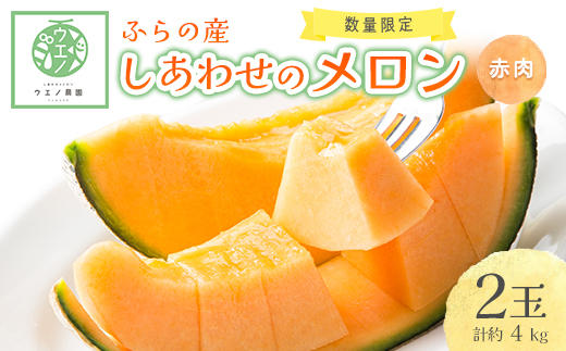 
                  ＜2026年発送＞ふらの産　しあわせのメロン(赤肉×2玉 計約4kg)【1253236】
                