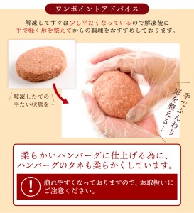 佐賀牛入り ハンバーグ 120g×20個( 佐賀牛ハンバーグ ハンバーグ 冷凍 ハンバーグ 大容量 ハンバーグ 柔らかハンバーグ ふんわりハンバーグ  ハンバーグ 大人気ハンバーグ みんな大好きハンバ