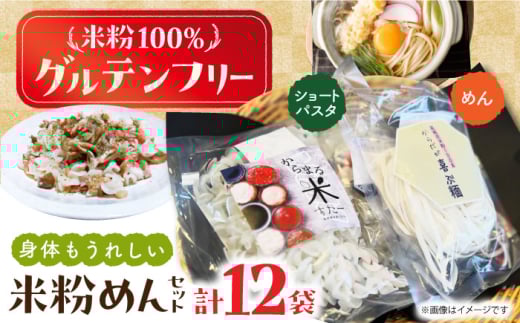 高槻産 米粉 100％ 米粉めんセット 食品 米粉 お米 グルテンフリー 小麦粉 アレルギー ダイエット 低糖質 大阪府高槻市/株式会社高谷 米粉 麺 お米 グルテンフリー 小麦粉 [AOAW021]