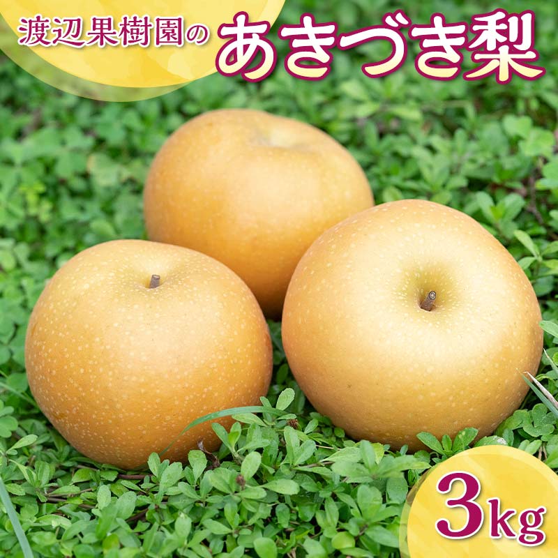【ふるさと納税】渡辺果樹園のあきづき梨 約3kg＜9月中旬〜10月初旬にお届け＞ F7X-0887