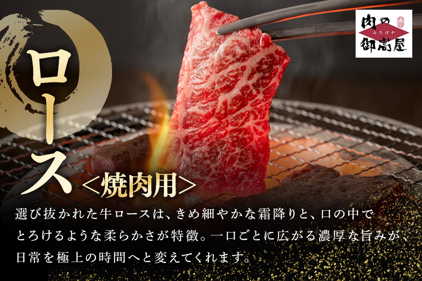 【冷蔵配送】飛騨牛 サーロインステーキ ローススライス 焼肉用ロース 特盛セット