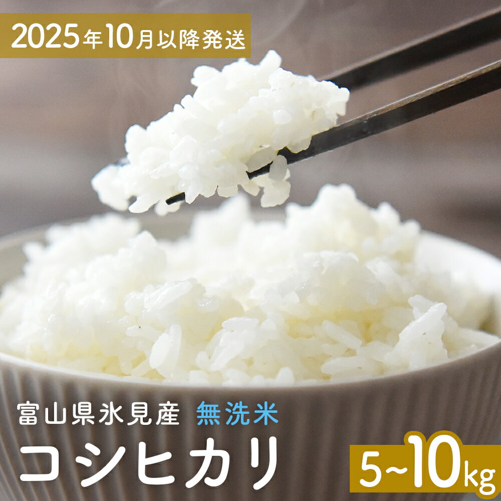 【ふるさと納税】コシヒカリ 無洗米 5-10kg 富山県氷見産 ＜2025年10月以降発送＞ 富山県 氷見市 米 コシヒカリ