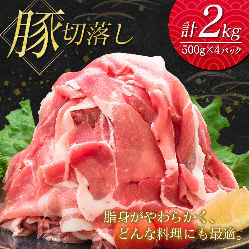 南国みやざき6kgセット＜豚肉2kg+鶏肉4kg＞【C200】