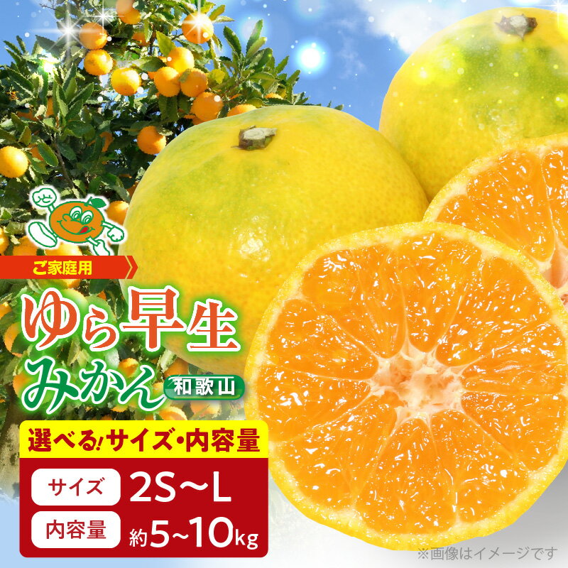 【ふるさと納税】【限定】【2025先行予約】【ご家庭用 極早生】和歌山 有田ゆら早生みかん サイズ 内容量 選べる 【湯浅町】【ミカン 蜜柑 柑橘 温州みかん 有田みかん わせみかん 由良早生 和歌山】