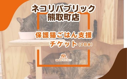 
            保護猫ごはん支援（2日分）チケット(047_5003)
          