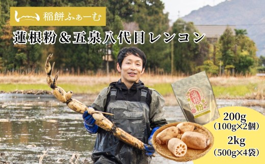 【先行予約品】蓮根粉 200g（100g×2個）＆ 五泉八代目レンコン 2kg（500g×4袋） | レンコン 蓮根 レンコンパウダー 野菜 根菜 産地直送 国産 新潟県 五泉市 稲餅ふぁーむ