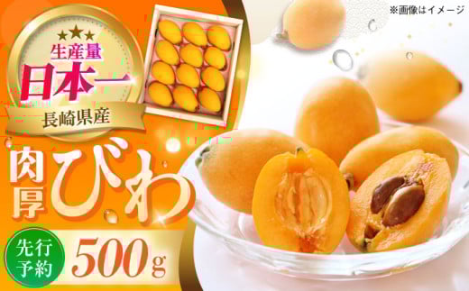 【申し込みは4/17まで】 長崎 ハウスびわ 500g ＜4月お届け＞長崎県/長崎県農協直販 [42ZZAA027] ビワ 枇杷 果物 フルーツ びわ 長崎 特産 数量限定