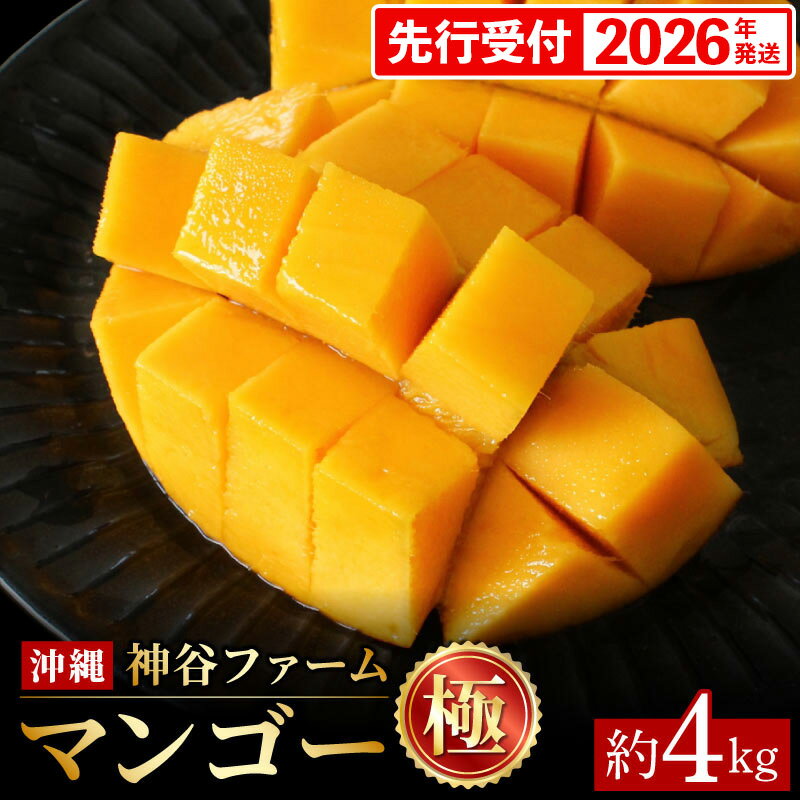 【ふるさと納税】【化粧箱入】【先行受付・2026年発送】神谷ファームのマンゴー（極）約4Kg - 先行予約 沖縄県産 産地直送 南国フルーツ 旬の味覚 季節の果物 贈り物 ギフト 沖縄県 八重瀬町