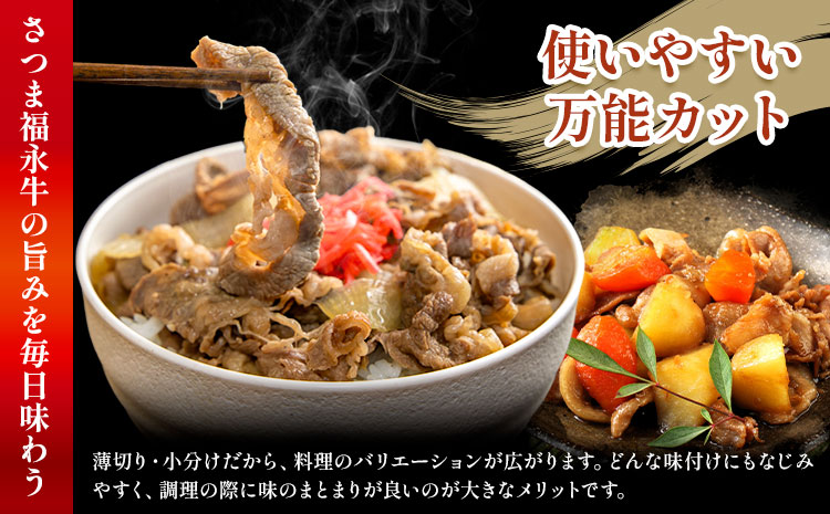 黒毛和牛 さつま福永牛 切り落とし 3パック(1パック335g)  福永畜産《30日以内に出荷予定(土日祝除く)》鹿児島 国産 九州産 肉じゃが 牛丼 冷凍 鹿児島県 さつま町 牛肉 和牛 さつま福永