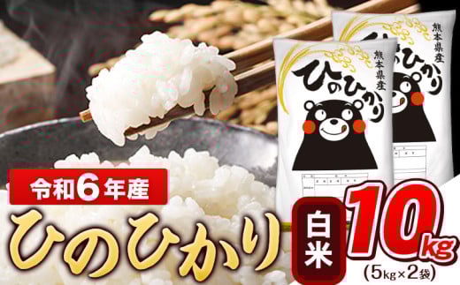 令和6年産 白米 ひのひかり 10kg《7-14日以内に出荷予定(土日祝除く)予定》令和6年産 高レビュー 熊本県産 ふるさと納税 無洗米 白米 精米 ひの 米 こめ ふるさとのうぜい ヒノヒカリ コメ お米 おこめ
