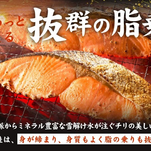 厚切り銀鮭 切り身 5kg(約34切れ)【訳あり 規格外 海鮮 魚介 鮭 さけ サケ しゃけ おかず 簡単調理】 G5392-1_イメージ5