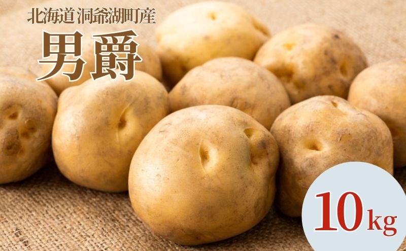 
            じゃがいも 男爵 10kg 9月上旬～12月中旬までお届け ジャガイモ 芋 甘い なめらか しっとり ポタージュ カレー 調理 料理 煮込み料理 旬 季節 農作物 野菜 根菜 北海道 とうや湖農業協同組合 
          