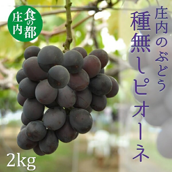 【ふるさと納税】食の都庄内　庄内のぶどう【種無しピオーネ】約2kg※9月上旬～10月中旬配送（有限会社庄内旬青果）
