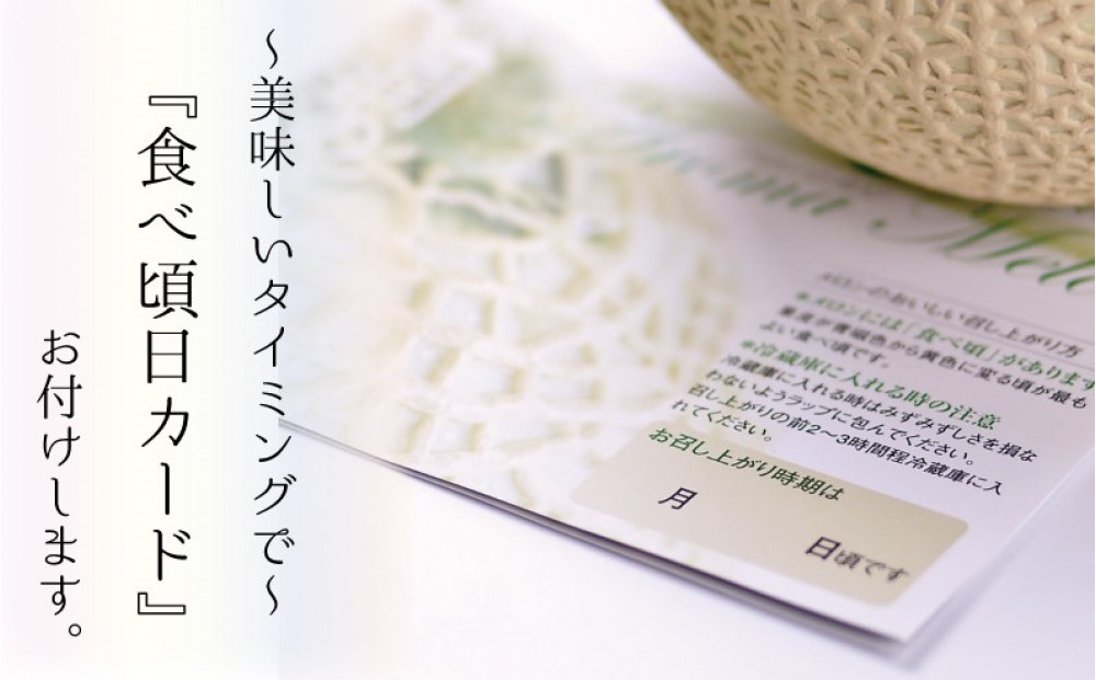 【通年出荷】アローマメロン 白等級(大玉) 5玉入