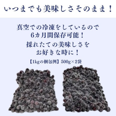 【毎月定期便】冷凍ブルーベリー1kg(500g×2パック)全6回【配送不可地域：離島】