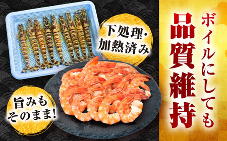 ボイル車海老500g[PCU004]冷凍車海老