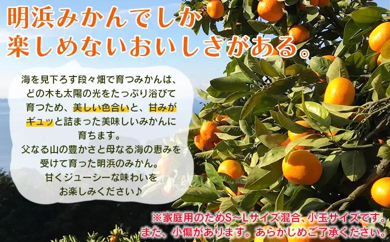 ＜愛媛県明浜産 笑丸みかん（温州みかん）定期便2回 約2kg 小玉サイズ＞ 家庭用 訳あり ワケアリ 果物 くだもの フルーツ ミカン 柑橘 特産品 笑丸 愛媛県 西予市【常温】『2026年11月頃に