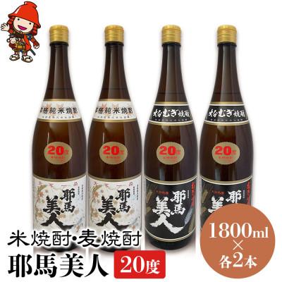 ふるさと納税 中津市 米焼酎・麦焼酎　耶馬美人20度　各1,800ml×2本