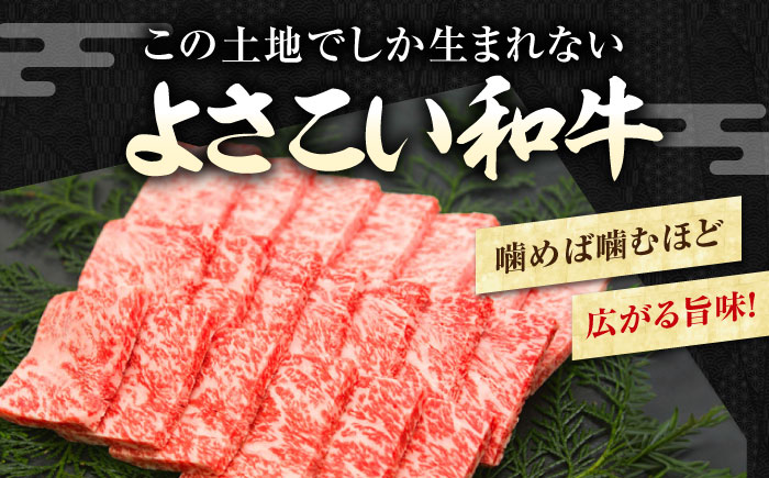 高知県産 よさこい和牛 焼肉用 約600g 牛肉 国産 焼き肉 BBQ A4 A5 【(有)山重食肉】 [ATAP063]