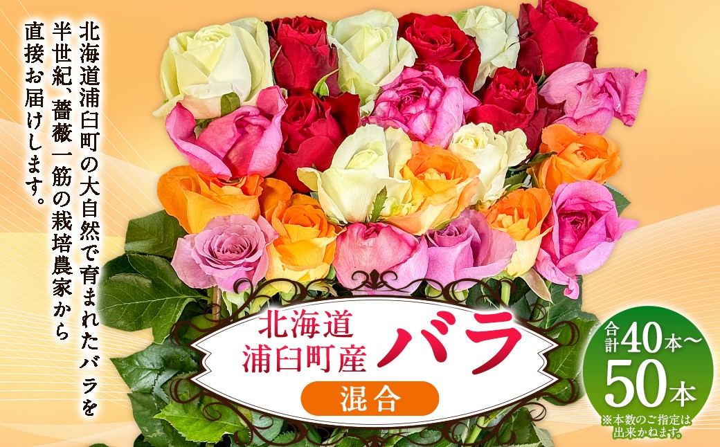 
                  バラ 混合（40‐50本）| 花 バラ 薔薇 生花 ローズ 贈り物 プレゼント ギフト【2026年11月下旬頃迄発送予定】
                