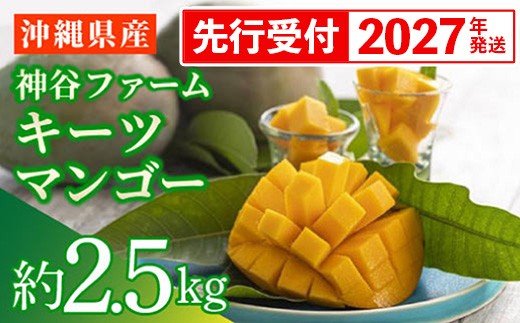 【先行受付】【2027年発送】神谷ファームのキーツマンゴー 約2.5kg - 先行予約 沖縄県産 産地直送 南国フルーツ 旬の味覚 季節の果物 希少種 贈り物 ギフト 沖縄県 八重瀬町