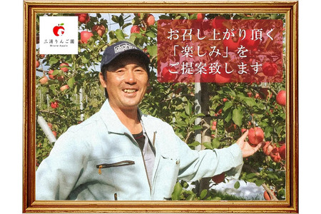 りんご【訳あり】家庭用 ぐんま名月＆サンふじ 詰め合わせ 約5kg 糖度13度以上（糖度証明書付）