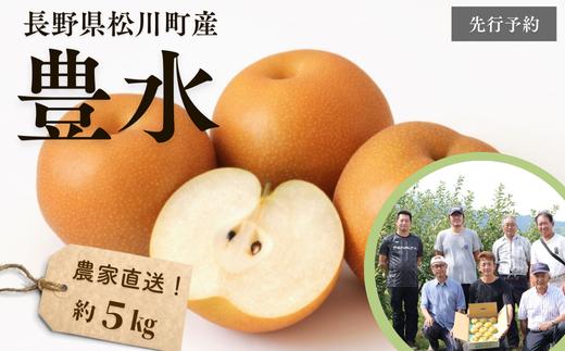 
                  KW01 梨 豊水 約5kg（9～14玉） 松川町産 贈答／2026年9月中旬頃～配送 ｜長野県 南信州 松川町 和梨 梨 なし ナシ 産地直送 農家直送 農家支援 贈答 豊水 果物 フルーツ 甘い
                