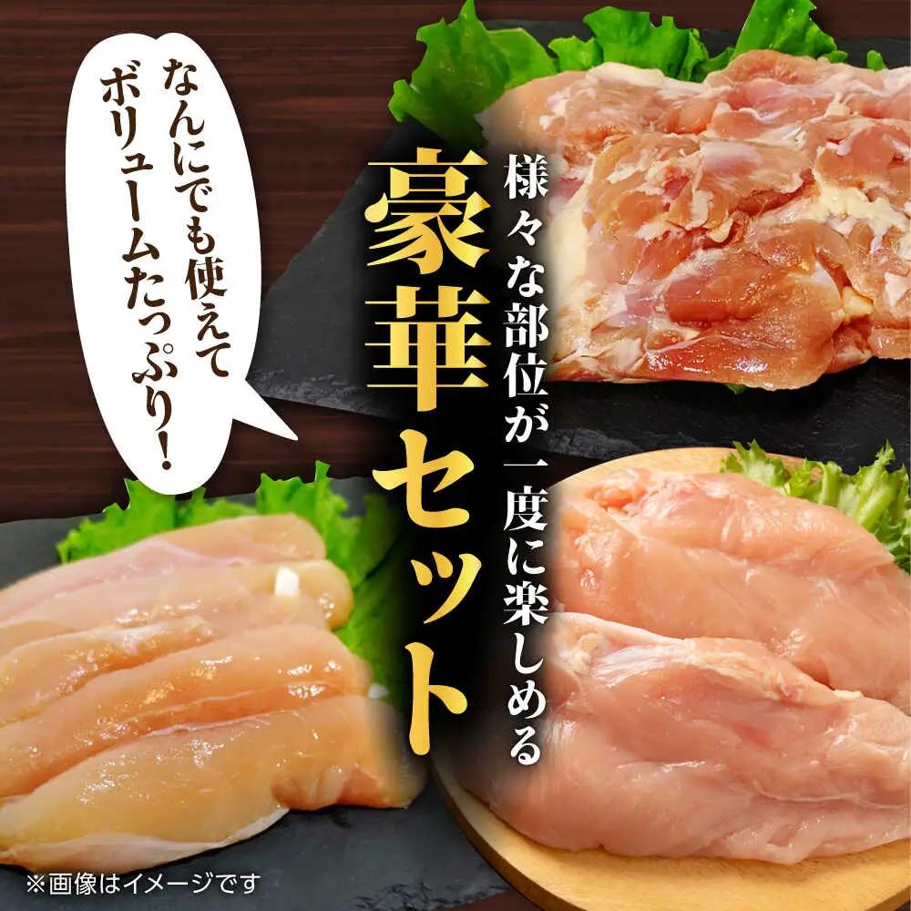 【12回定期便】熊本あか鶏  3種食べ比べセット（もも むね ささみ）各1kg【やまうちフード株式会社 熊本営業所】  熊本県 特産品 九州産  鶏肉  [ZAB017]