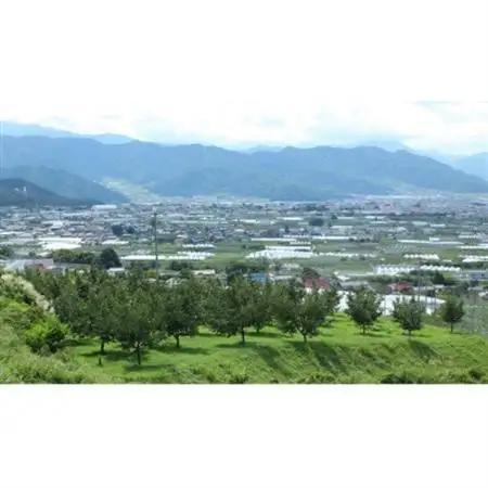 【2027年発送】フルーツ王国　長野県信州直送　白桃　約5kg【配送不可地域：離島】【1576258】