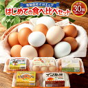 【ふるさと納税】はじめての 食べ比べ セット 6個×5種類 計30個 内割れ保証5個 各種1個づつ 人生これか卵 米っ娘たまご インカの卵 EMハーブ卵 ひめ卵プラス 卵 タマゴ たまご 玉子 生卵 鶏卵 イヨエッグ 愛媛県 送料無料 (476) 【えひめの町（超）推し！（内子町）】