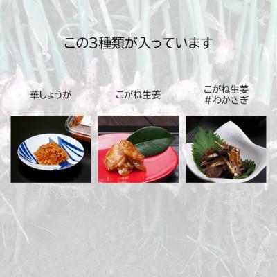 ふるさと納税 潟上市 冷蔵便【秋田県産生姜使用】生姜の佃煮シリーズ!3種満喫セット |  | 01