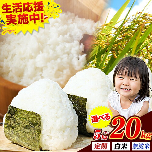 【ふるさと納税】 無洗米 も選べる 熊本県産 ブレンド米 くましずく 5kg 10kg 15kg 20kg 定期便 も選べる 熊本県産 ふるさと納税 無洗米 白米 精米 米 こめ ふるさとのうぜい コメ お米 おこめ《出荷時期をお選びください》