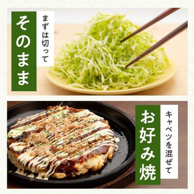 ふるさと納税 泉佐野市 【TVで紹介されました!】泉州キャベツ 5kg 2〜5玉 射手矢農園 G1624 |  | 02