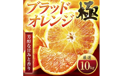 ＜太陽をたっぷり浴びた＞ブラッドオレンジ(タロッコ)＜極＞10kg＜H49-89＞【1621801】 YWTZ074