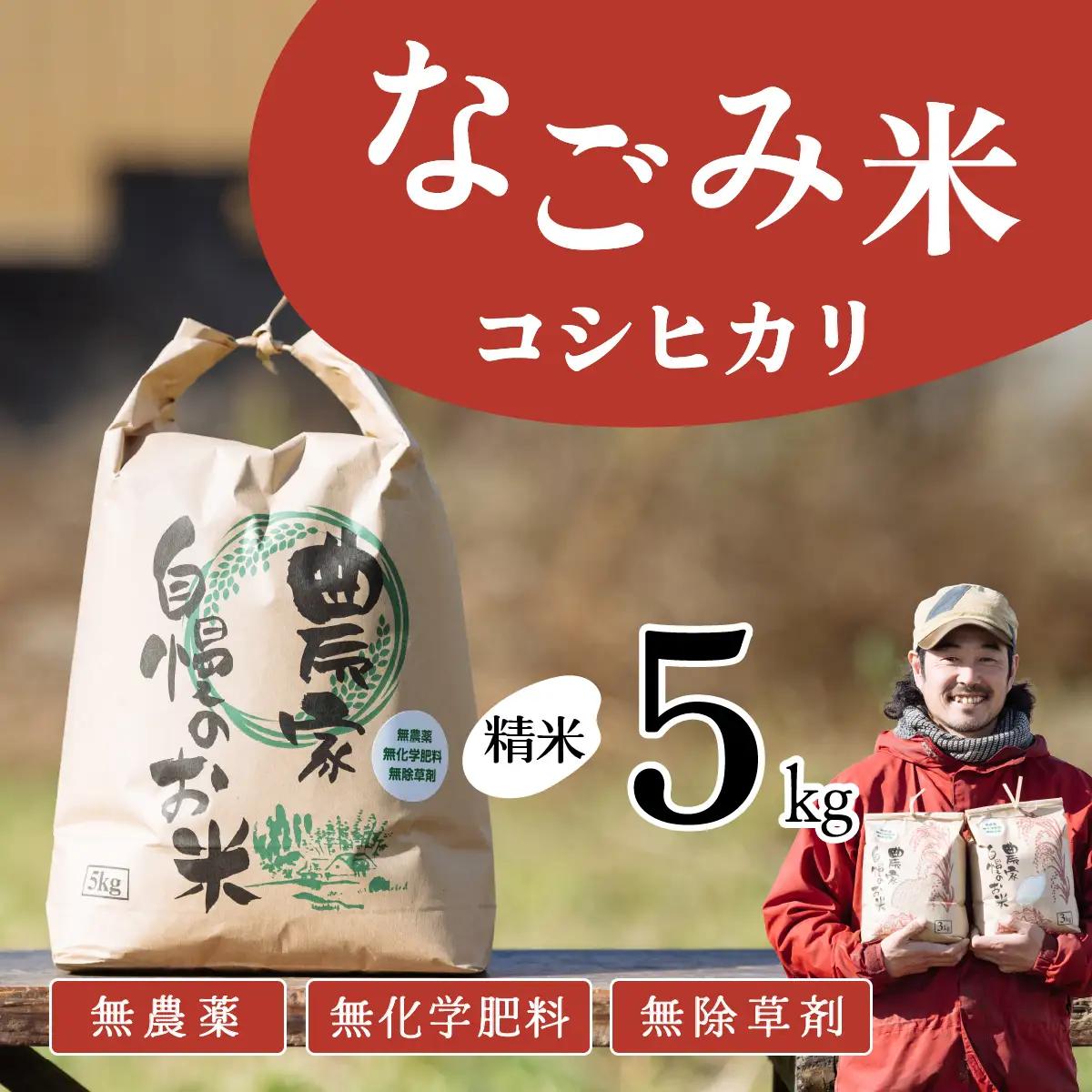 【10月発送】茨城県下妻市産 なごみ米 （ コシヒカリ ） 精米 5kg 【 お米 コシヒカリ 米 無農薬 無化学肥料 無除草剤 精米 ブランド米 茨城県産 】